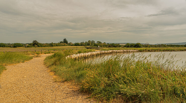 Liz Miller - Newtown Creek (2)