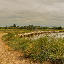 Liz Miller - Newtown Creek (2)