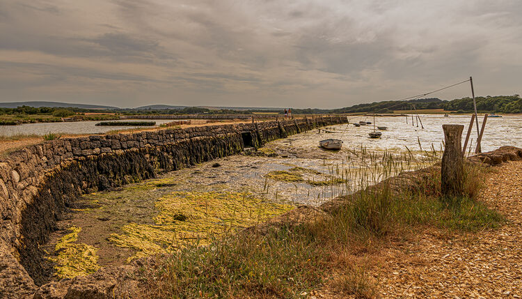 Liz Miller - Newtown Creek (3)