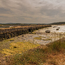 Liz Miller - Newtown Creek (3)