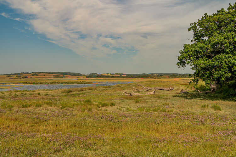 Liz Miller - Newtown Creek (4)