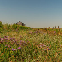 Liz Miller - Newtown Creek (1)