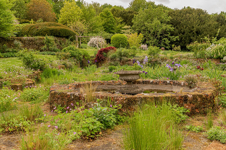 Liz Miller Northcourt 1 (2)