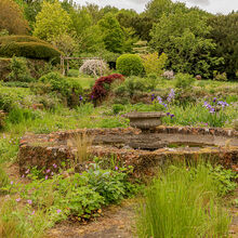 Liz Miller Northcourt 1 (2)