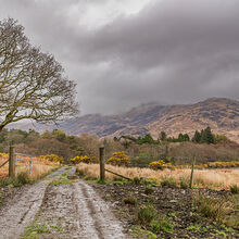 Landscape of the Year