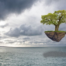 Melvyn Wall Island in the Sky Creative