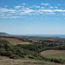 Melvyn Wall Overlooking Brighstone HL