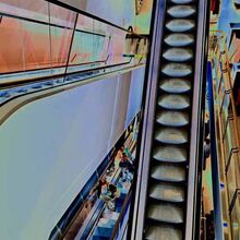 Michael Duke Escalator C