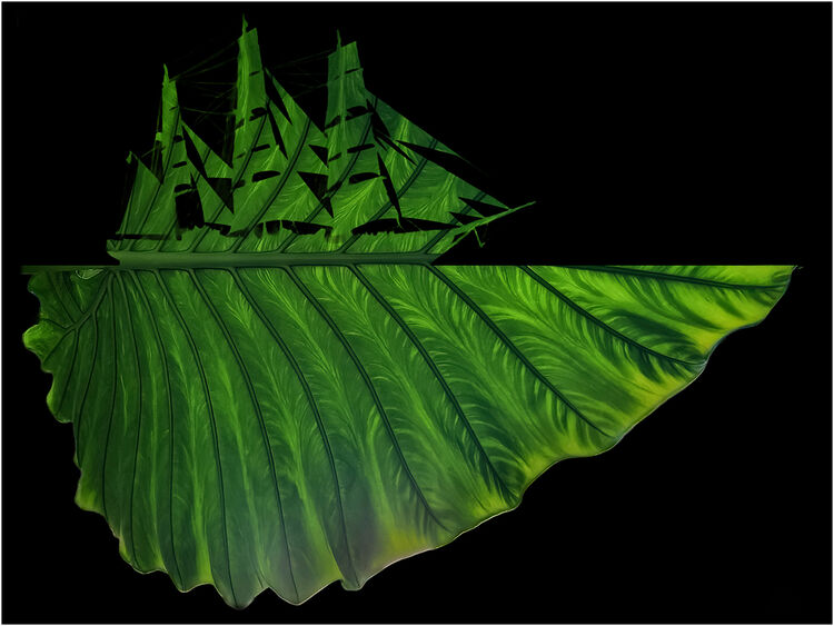 Nigel Neve The Leaf Cutter WVCC