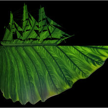 Nigel Neve The Leaf Cutter WVCC