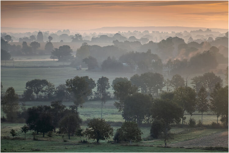 Paul Dowthwaite Mist In The Morning L IWPS