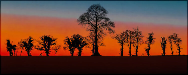 Paul Dowthwaite Sunset Serenity M6 L IWPS