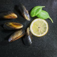 Richard Dziedzicki Mussels SL