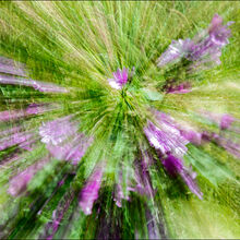 Robert Clarke Boom !!! ICM IWPS