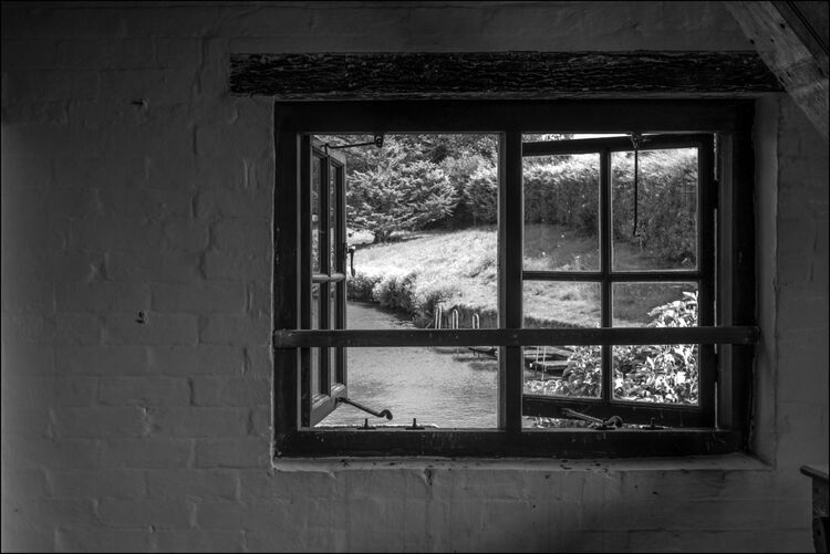 Robert Clarke From a Window