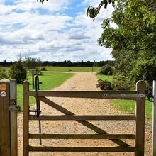 Robert Skinner Front doors and Garden Gates 1 T