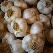Robert Skinner Garlic SF