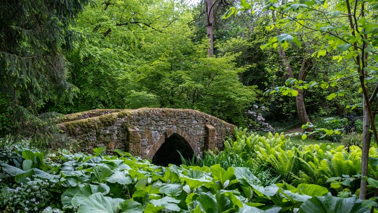 Sue Cardwell Northcourt Manor Bridge (1)