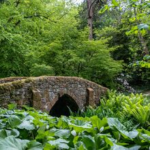 Sue Cardwell Northcourt Manor Bridge (1)