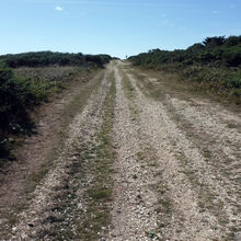 Sue Harlow 2 Brighstone Down HL