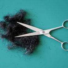 Sue Harlow Lockdown Snip Creative