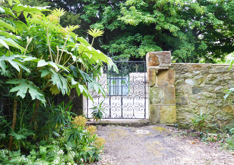 Sue Harlow Northcourt (4)