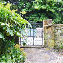 Sue Harlow Northcourt (4)