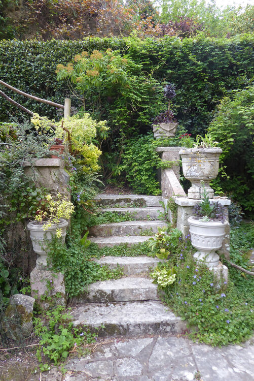 Sue Harlow Northcourt (5)