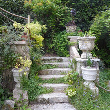 Sue Harlow Northcourt (5)