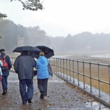Sue Harlow They said light showers M2