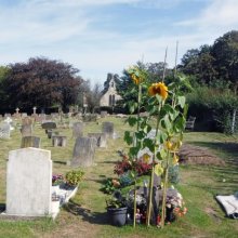 Sue Harlow Brightstone Churchyard landscape