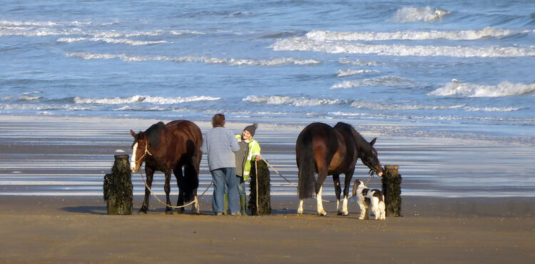 Sue Harlow  Fancy meeting you here on the Beach M1 O  IWPS.jpeg