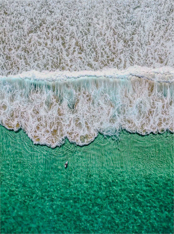 Suzy Fraser Impact Zone Niton