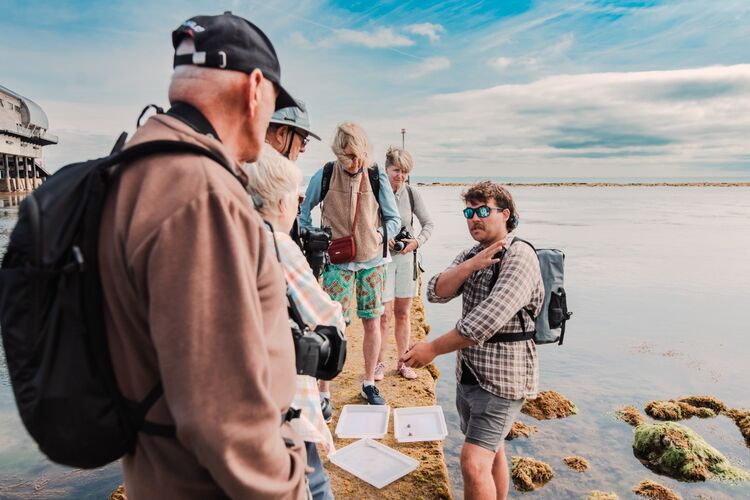 Suzy Fraser Rockpool Safari (2)