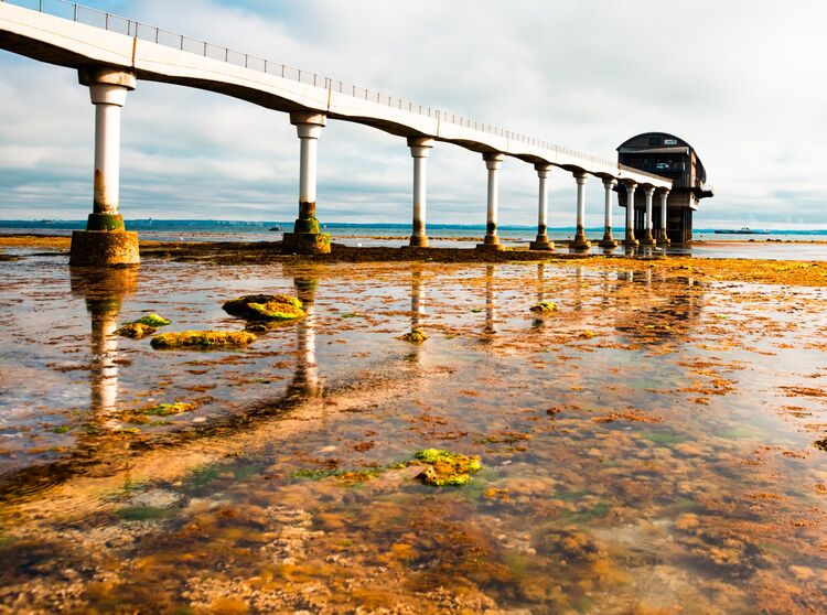 Suzy Fraser Rockpool Safari (3)