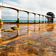 Suzy Fraser Rockpool Safari (3)