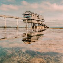 Suzy Fraser Rockpool Safari (1)