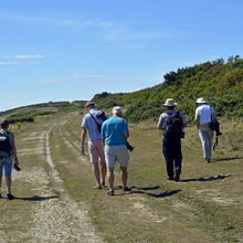 Terry Harlow 3 Brighstone Down HL