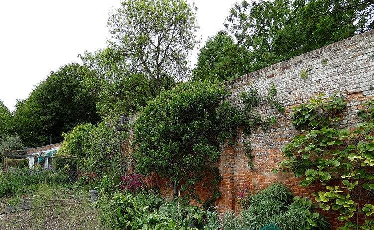 Terry Harlow Northcourt  (4)