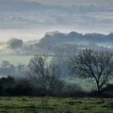 robert skinner Misty morning in the vally L