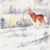 Scent of Winter