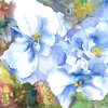 African Blue