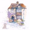 Wisteria House with Blue