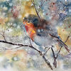 The Robin