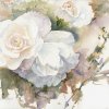 Stella'sroses