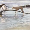 Phoebe and Misha catching seaweed