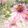 echinacea