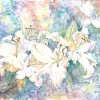 fragrant beauty