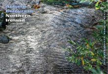 Autumn Colours in Northern Ireland 7 (Landscape)