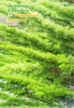 Autumn in Northern Ireland (Portrait)